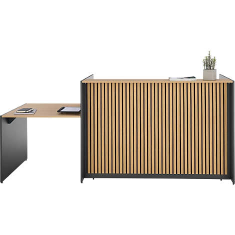 Receptiebalie met houten panelen en tafel. Op de balie een plant, een boek en pennen.