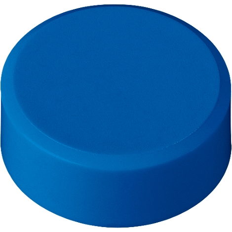 A blue, cylindrical object, possibly a button or cap.