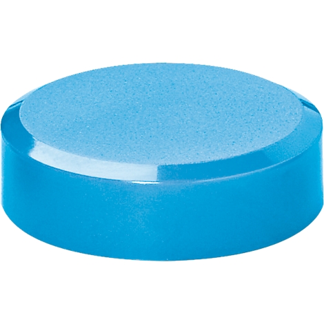A round, blue object composed of two segments: a lighter, porous area on top and a smoother, darker area below.