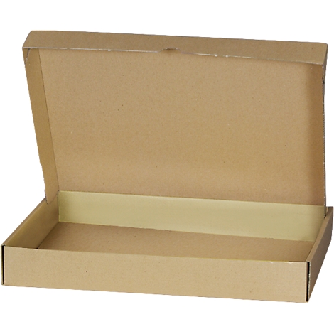 Open brown cardboard box with light yellow adhesive surface. Lid is slightly open.