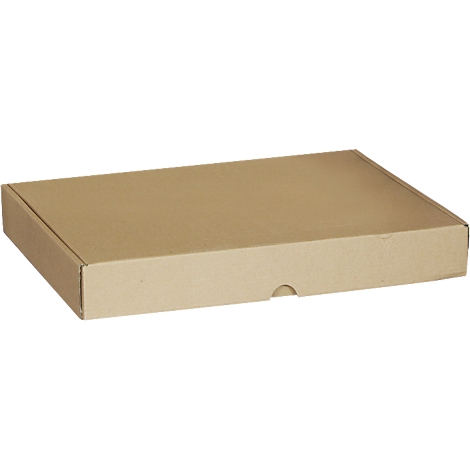 Brown rectangular cardboard box with rounded corners and a small recess on the side.