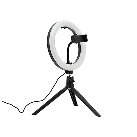 Ringlicht auf einem Stativ, mit Smartphonehalterung.