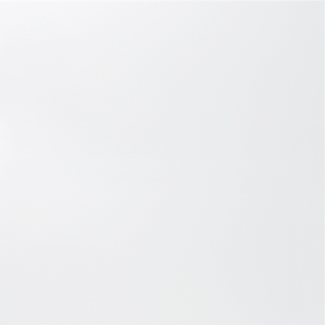 Fond blanc. Rien d'autre à voir.