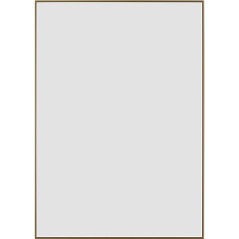 Image blanche vide dans un cadre doré.