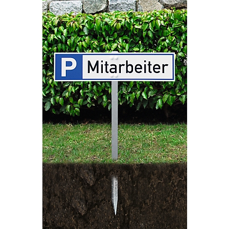 Parking sign 'Employees' in front of green plants. The sign is on a metal pole. The tip of the pole is anchored in the ground.