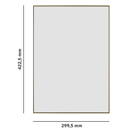 Rechteckiger Rahmen mit den Maßen 422,5 mm x 299,5 mm. Er hat einen hellen Hintergrund und eine schmale, dunkle Umrandung.