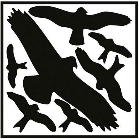 Several black bird silhouettes flying against a square white background. The birds appear to be in different flying positions.