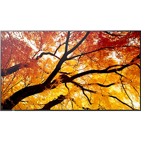 Gros plan sur un arbre avec des feuilles et des branches orange-jaune. Le ciel est blanc.