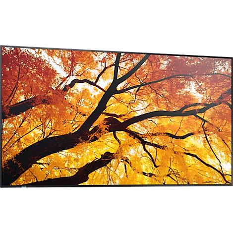 Gros plan d'une photo murale avec un arbre aux feuilles rouges et jaunes, sur un fond clair.