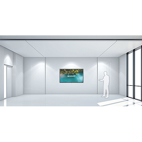 Dans une pièce minimaliste avec un écran, une personne pointe l'écran avec le mot SHARP.