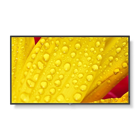 Pétales jaunes avec des gouttelettes d'eau, accent rouge. L'affichage est dans un cadre noir.