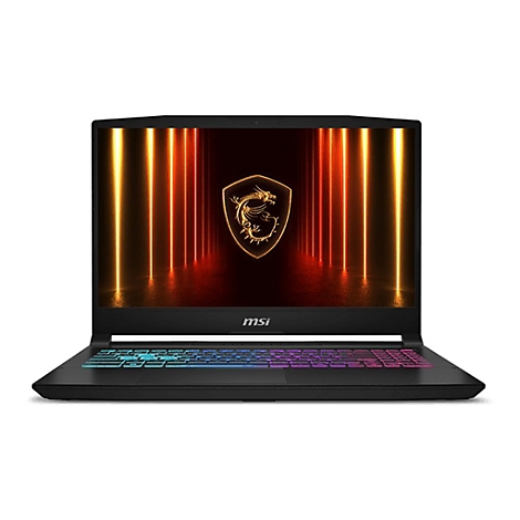 MSI Katana 15 HX B14WGK-058 - Intel Core i7 i7-14650HX / 2.2 GHz - Win 11 Home - GeForce RTX 5070 - 16 GB RAM - 512 GB SSD NVMe