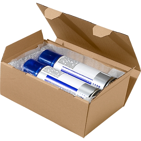 Two spray cans in a brown cardboard box. Blue cap and white can with text. Box opened.