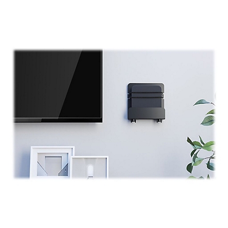 Schwarzes GerÃ¤t an einer Wand, neben Fernseher und Bildern. Eine grÃ¼ne Pflanze steht rechts daneben.