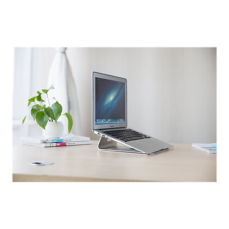 Laptop auf einem Ständer, daneben eine Pflanze und Bücher.