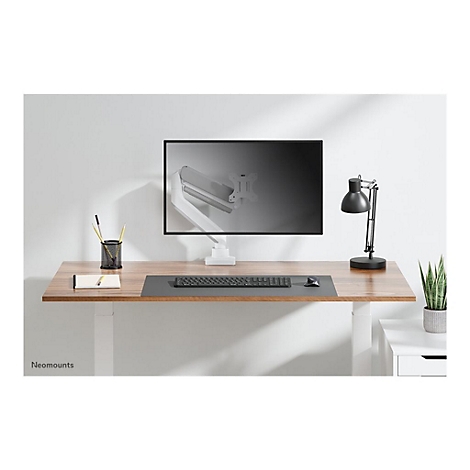 Schreibtisch mit Monitor, Lampe, Tastatur, Maus und Pflanzen. Der Bildschirm zeigt Halterung.