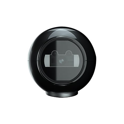 Schwarze, kugelförmige Kamera mit Bildschirm in der Mitte.