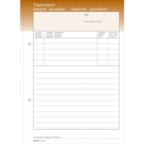 White daily report form with tables and headings in multiple languages. Brown-orange title area.