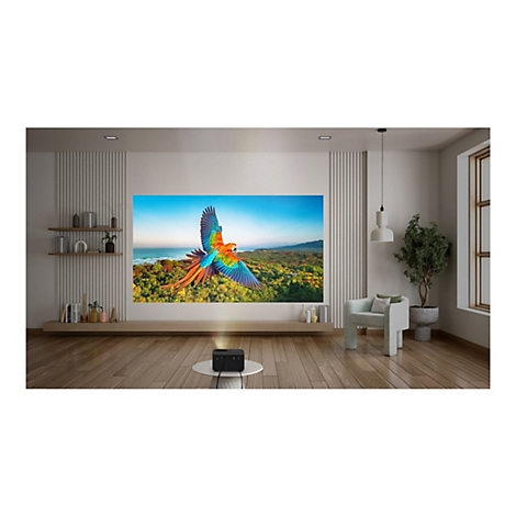Un projecteur affiche une image de perroquet sur un mur. Une table au premier plan, une chaise, une plante et une fenêtre derrière.