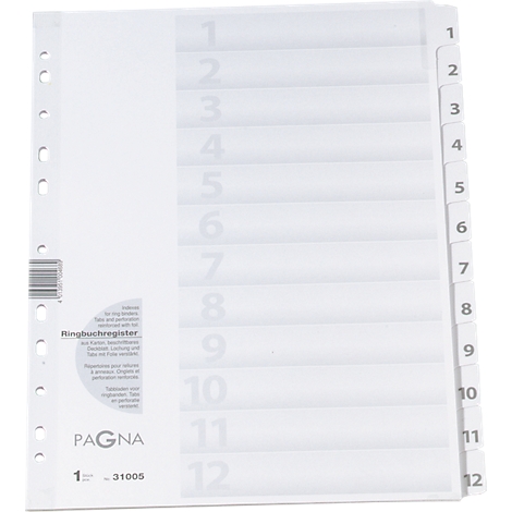 A white ring binder register with 12 numbered dividers. Perforation on the left, register on the right. PAGNA brand logo.