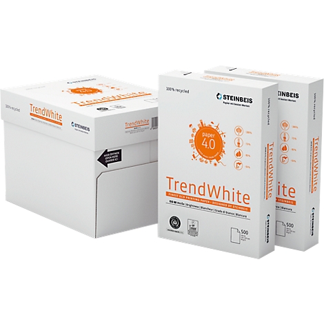 Papier blanc recyclé A3 80 g - 135 CIE - Evolution White - carton