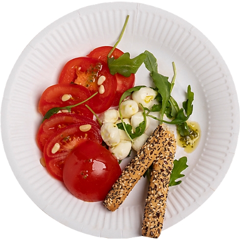 Tomaten-Mozzarella-Salat auf einem weißen Teller, mit Brotstangen.