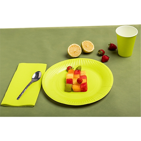 Teller mit bunt gewürfeltem Obst, Zitrone, Erdbeeren, Servietten, Löffel und Becher auf grünem Untergrund.