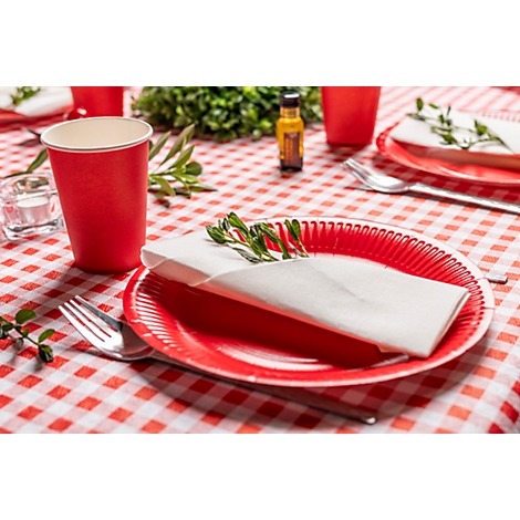 Ein gedeckter Tisch mit rotem Pappteller, Serviette und Becher auf karierter Tischdecke. Dekoriert mit Kräutern.