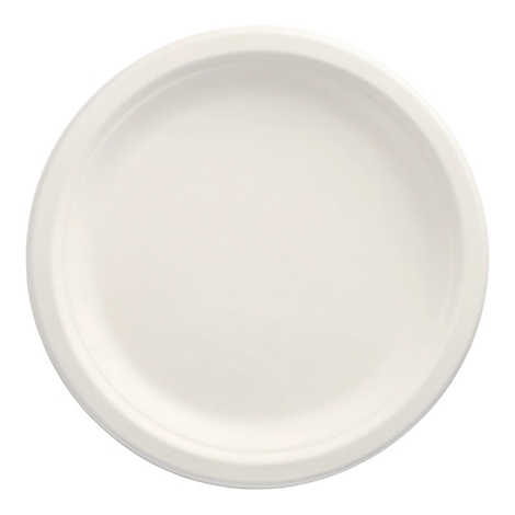 Une assiette blanche et ronde photographiée sur fond blanc.