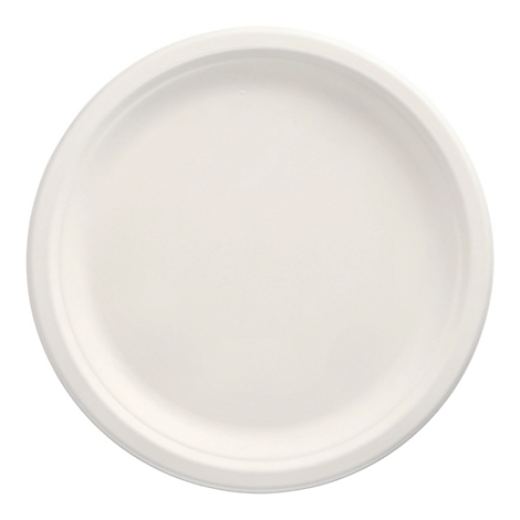 Une assiette blanche et ronde avec un bord légèrement surélevé.