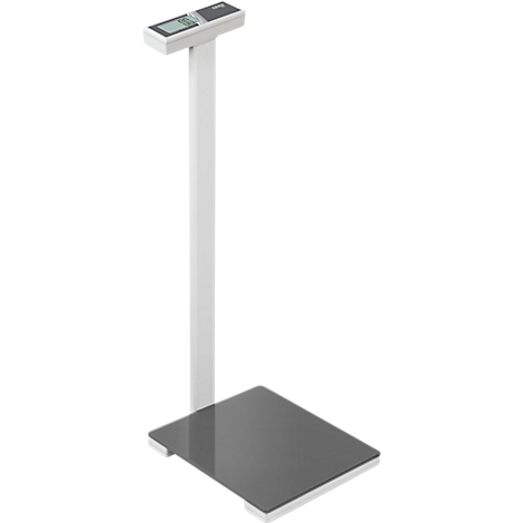 Une balance blanche posée sur une plaque grise. Il y a un écran en haut.