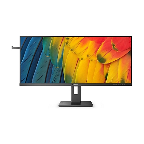 Breiter Monitor mit buntem Bildschirmhintergrund. Schwarzer Rahmen, StandfuÃŸ und Webcam.