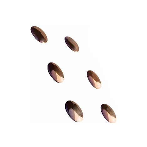 Sechs ovale, braun-beige Tabletten schweben vor weißem Hintergrund. Jede Pille hat eine glatte, glänzende Oberfläche.