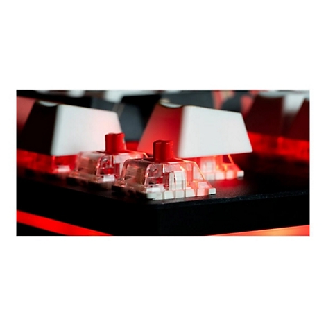 Nahaufnahme von mechanischen Tastatur-Switches mit roter Beleuchtung und weißen Tastenkappen.