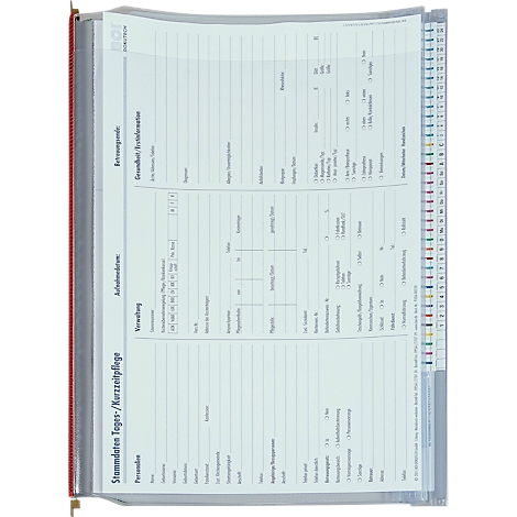 Cahier avec une couverture grise rempli de pages blanches avec des colonnes pour les données médicales. Ligne rouge sur le bord gauche.
