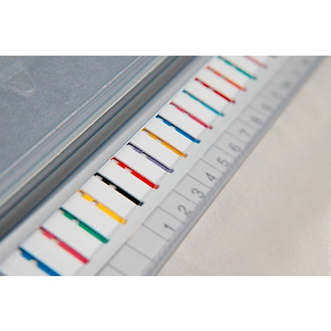 Gros plan d'une fiche d'index avec des onglets colorés et des sections numérotées.
