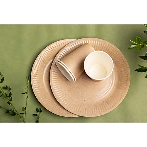 Deux assiettes en carton et une tasse, plus une tasse vide sur fond vert. Feuilles sur le bord.