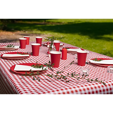 Une table de pique-nique avec une nappe à carreaux rouge et blanc. Des gobelets en papier rouges, des assiettes et un vase de fleurs sont sur la table.