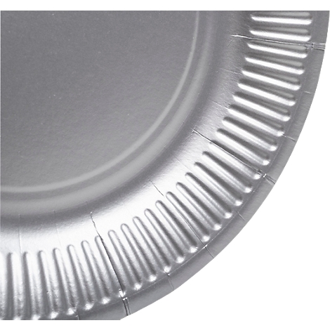 Nahaufnahme eines silberfarbenen Papptellers mit geriffeltem Rand.