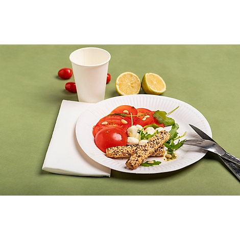 Auf einem Teller: Tomaten, Mozzarella, Brotstangen, Rucola. Daneben: Papiertasse, Zitrone, Cocktailtomaten, Serviette, Besteck.