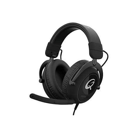 Schwarzes Gaming-Headset mit Mikrofon, weiÃŸer Hintergrund. Auf den Ohrmuscheln befindet sich ein Logo.