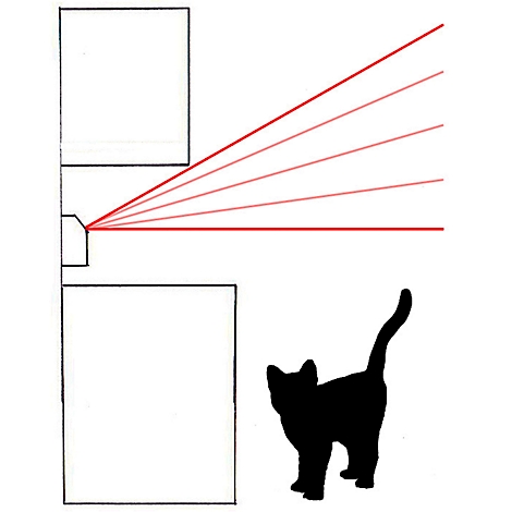 Illustration noir et blanc : un chaton se tient à côté d'un dessin d'architecture. Des lignes rouges montrent un champ de vision.
