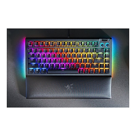 Draufsicht einer beleuchteten mechanischen Tastatur mit Handauflage. Die Tasten sind in Regenbogenfarben beleuchtet, das Razer-Logo ist erkennbar.