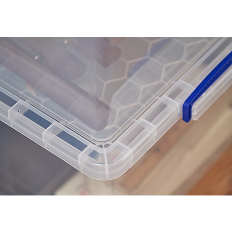 Close-up of a clear plastic box with a blue latch. The top is patterned with hexagons.