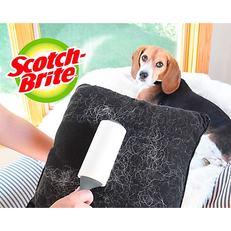 Un chien et un oreiller couverts de poils de chien. Une main utilise un rouleau anti-peluches Scotch-Brite pour enlever les poils. Le nom de la marque est dans l'image.