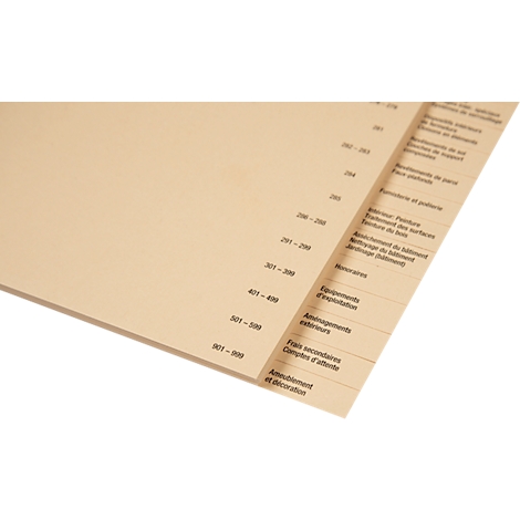 Deux fiches beiges avec des lettres noires sont disposées légèrement en chevauchement sur un fond blanc. Inscription, 201-299, 301-399, 401-499, 501-599, 901-999.