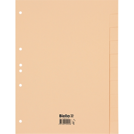 Chemise de dossier marron clair avec perforations et séparateurs. Nom de marque imprimé : Biella.