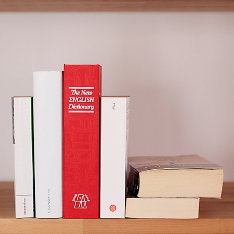 Plusieurs livres sont posés sur une étagère, dont un dictionnaire rouge avec des lettres blanches.
