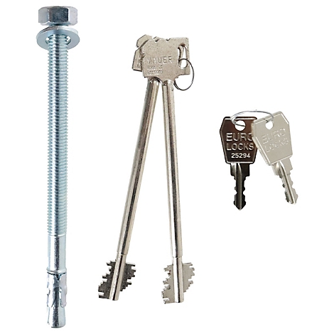 Schraube mit Sechskantkopf, zwei Schlüssel und zwei Schlüssel mit Etikett Euro Locks 25294 auf weißem Hintergrund.