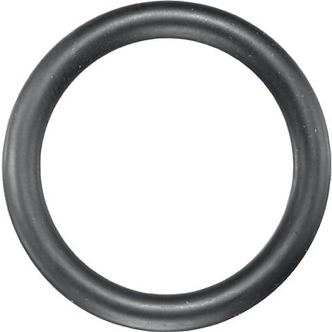 Zwarte, cirkelvormige O-ring.